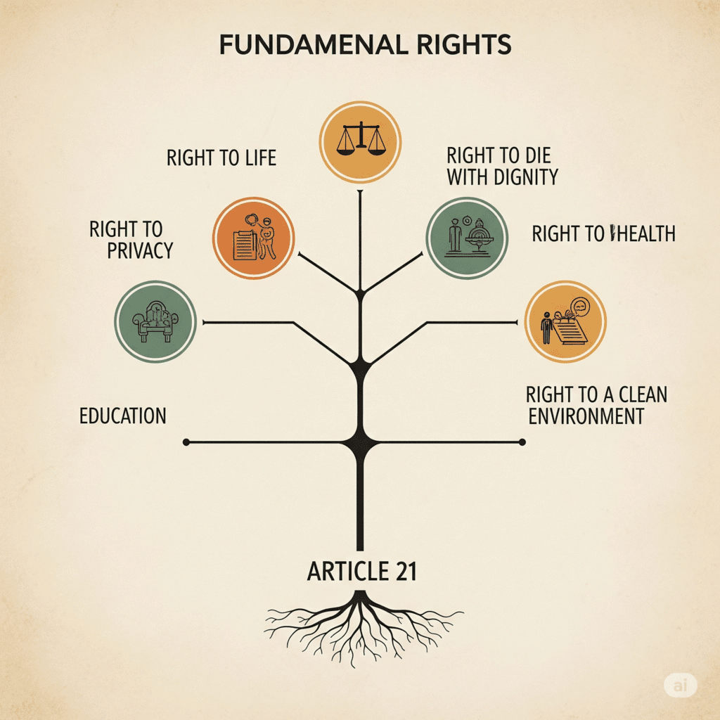 A picture showing the scope of Article 21